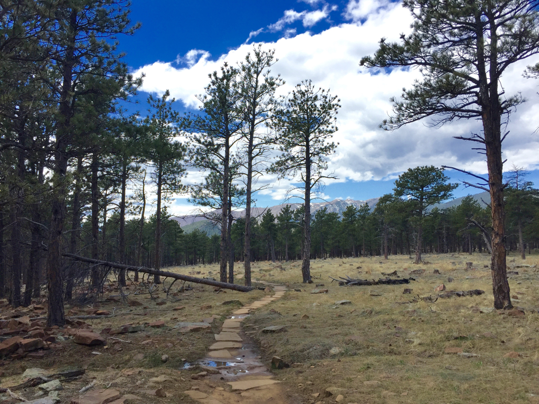 South on Wapiti Trail at Heil Valley Ranch