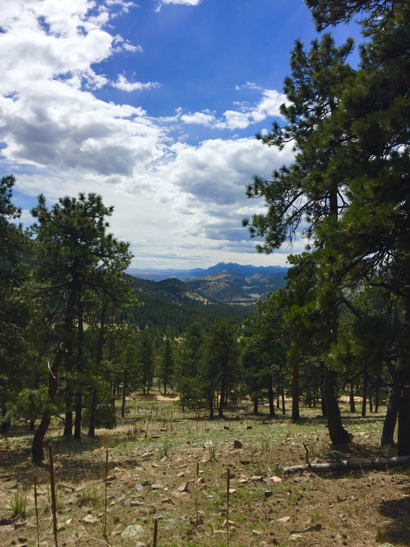 Southern view towards Heil Valley Ranch