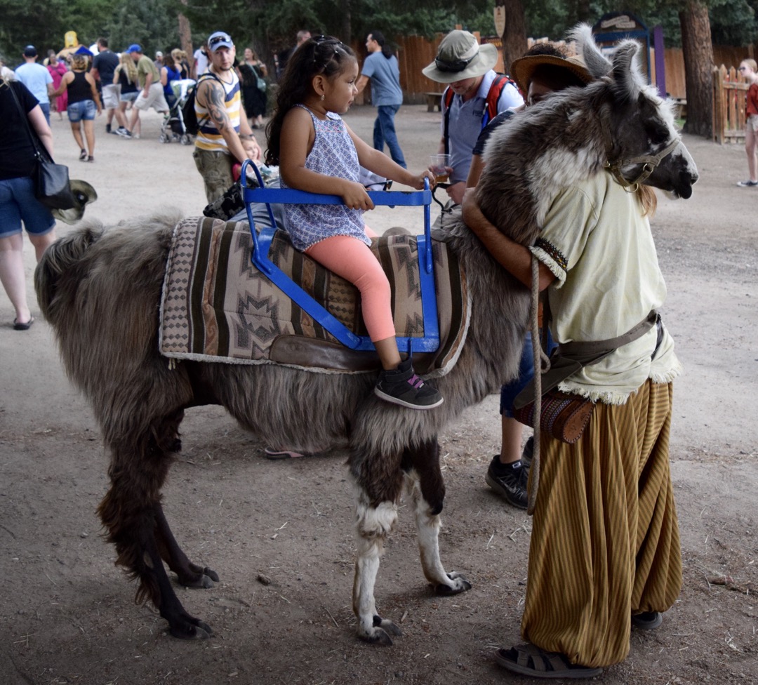 Llama love