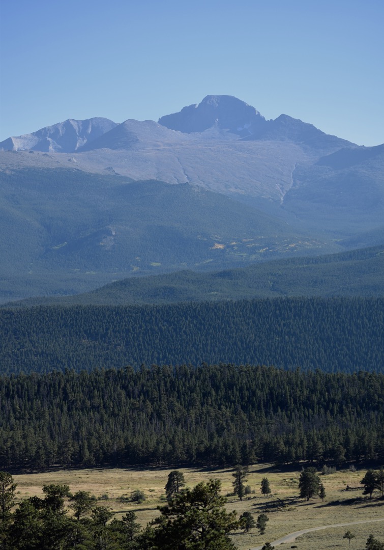 Meadows to forest to fourteener