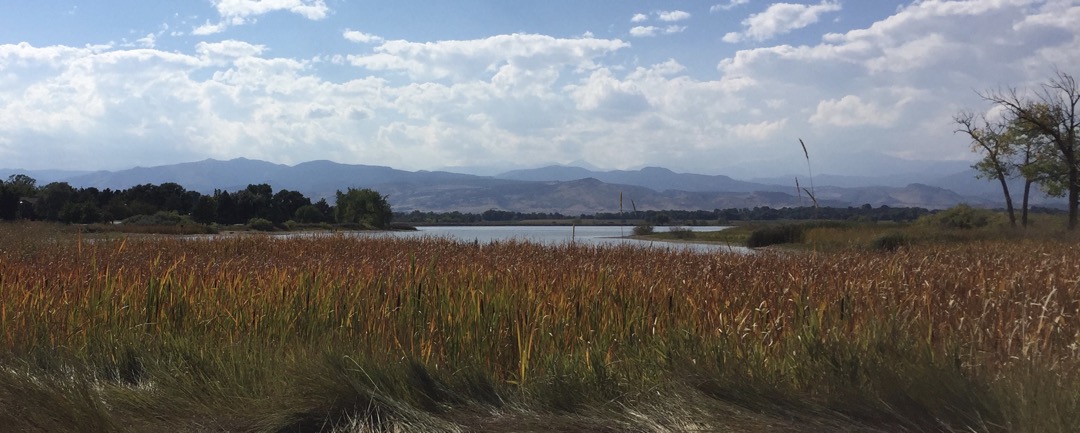 Fall colors at MacIntosh Lake