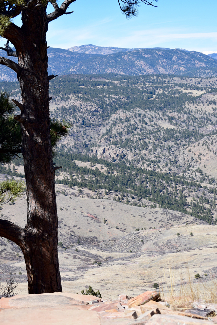 Overlook off Ponderosa Loop