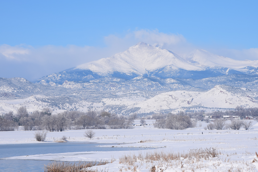 Snow-filled view