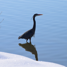 DSC_6608.JPG