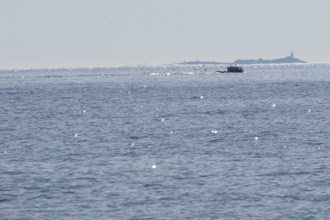 Lobster boat off North Hampton, NH, with the Isles of Shoals