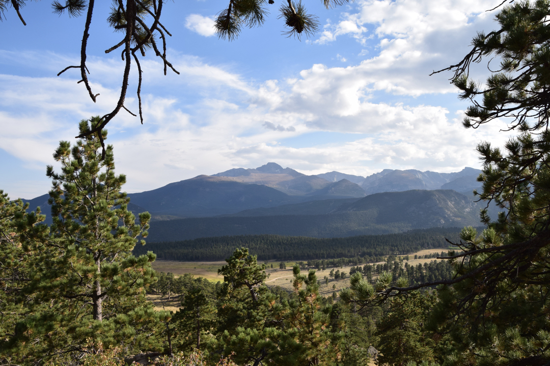 Longs Peak and valley, RMNP