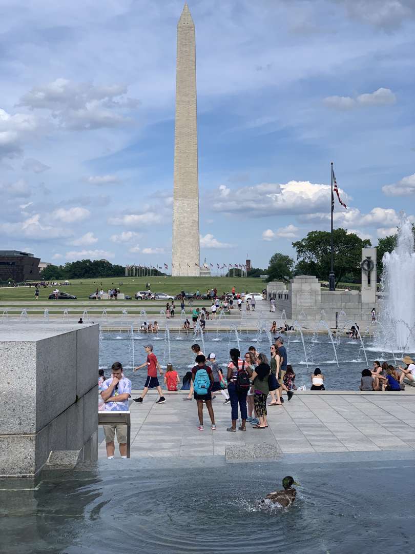 Splashing duck at the WWII memorial