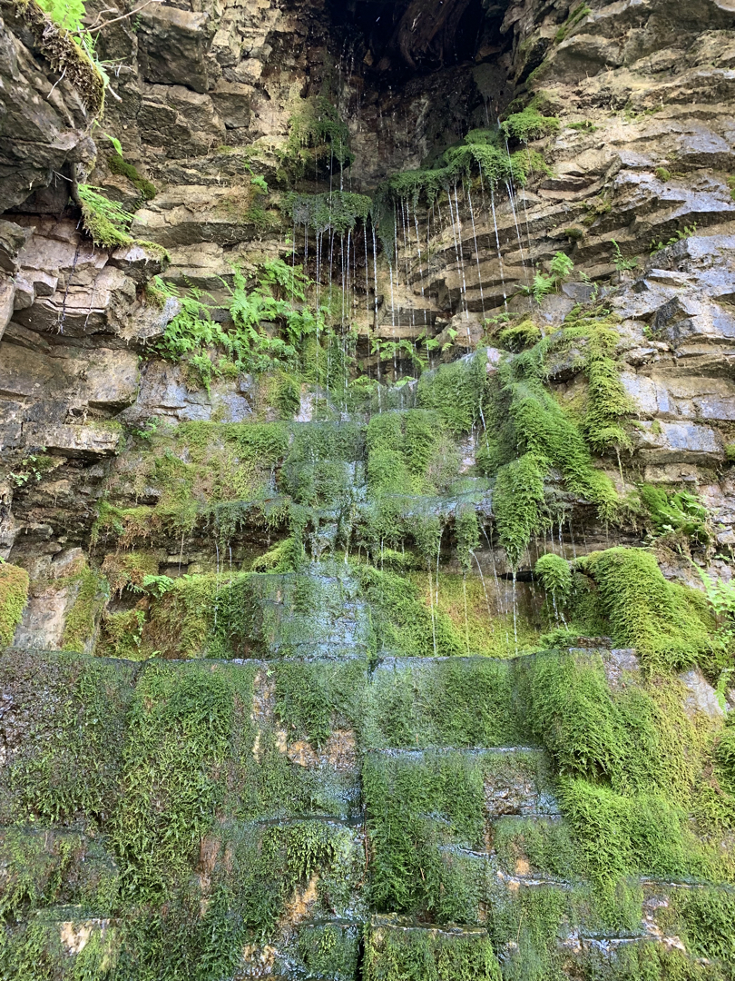 Weeping wall at Ausable Chasm