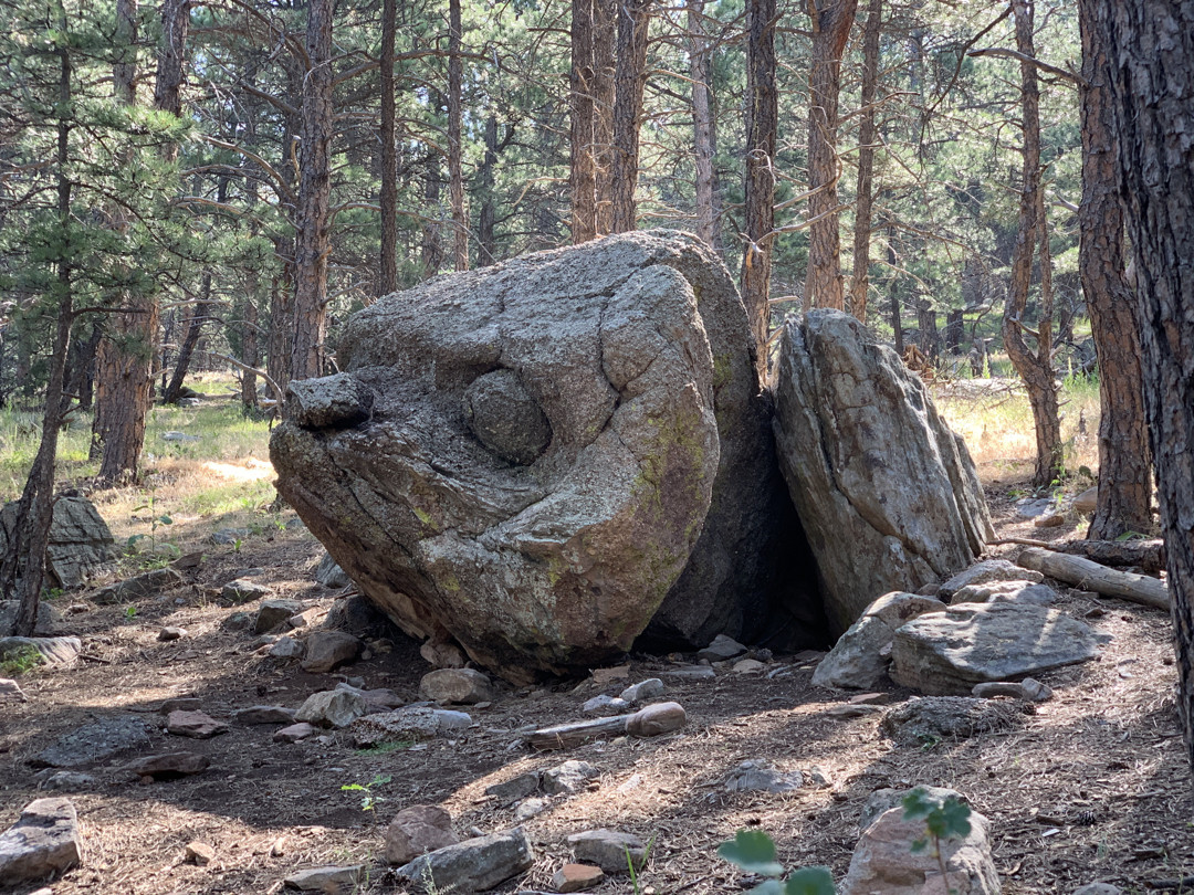 Lichen Loop, Heil Valley Ranch