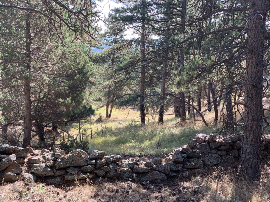 Nighthawk Trail, Hall Ranch hike, Lyons, CO