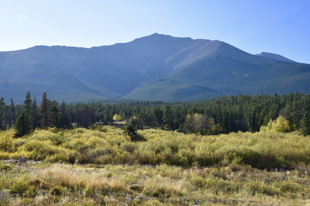 Fall colors in front of Mount Meeker