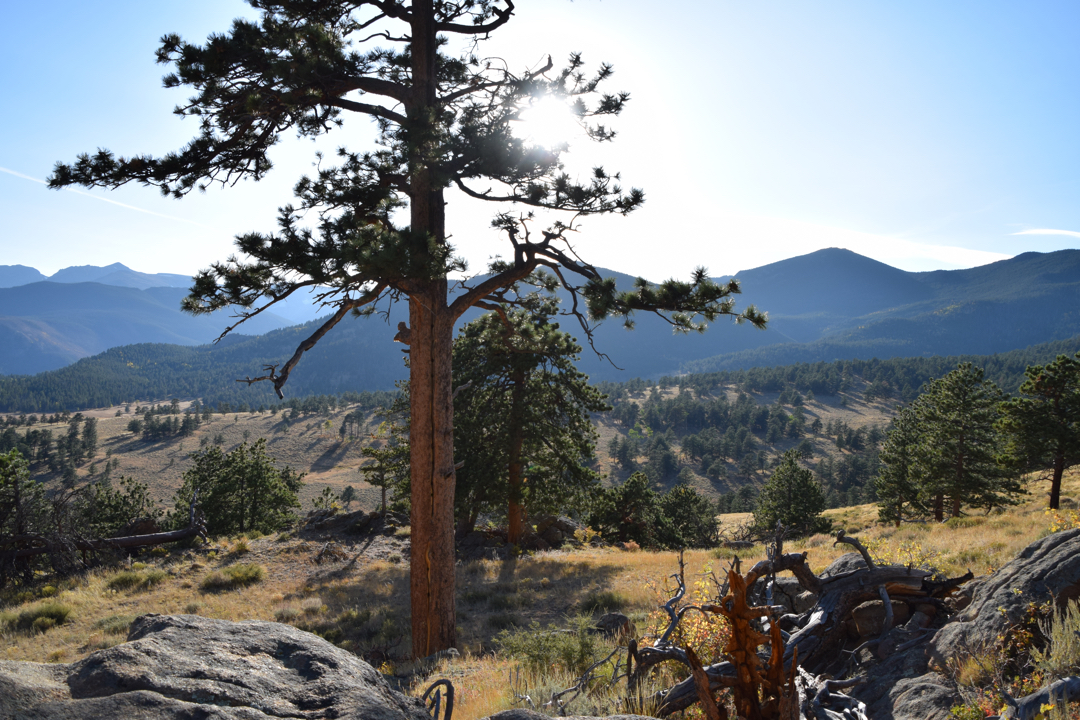 Fall day at Rocky Mountain National Park