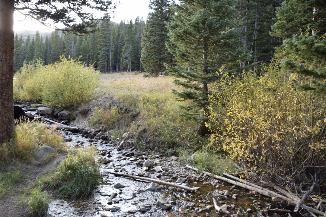 Stream at Hidden Valley, RMNP