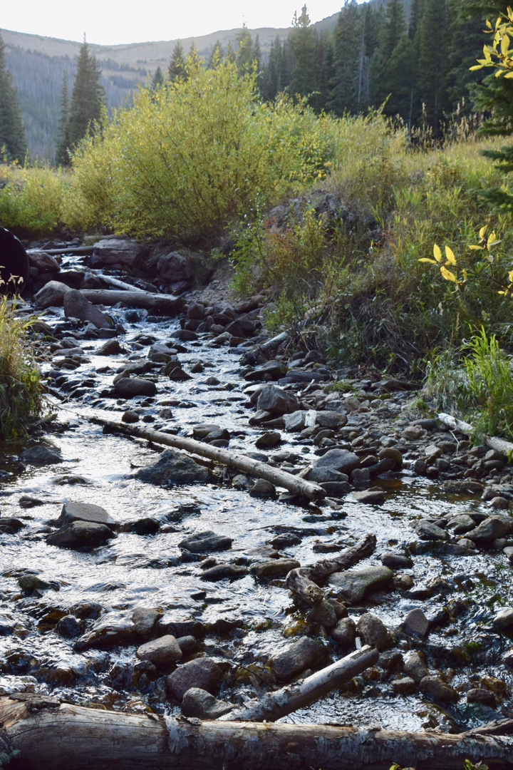 Hidden Valley stream