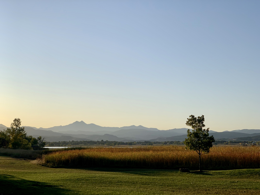 Late day, autumn