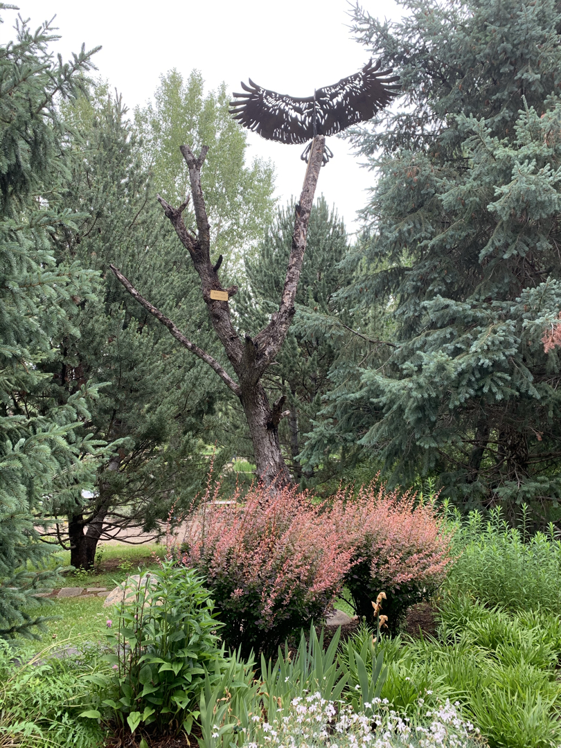 Yampa River Botanic Park, 