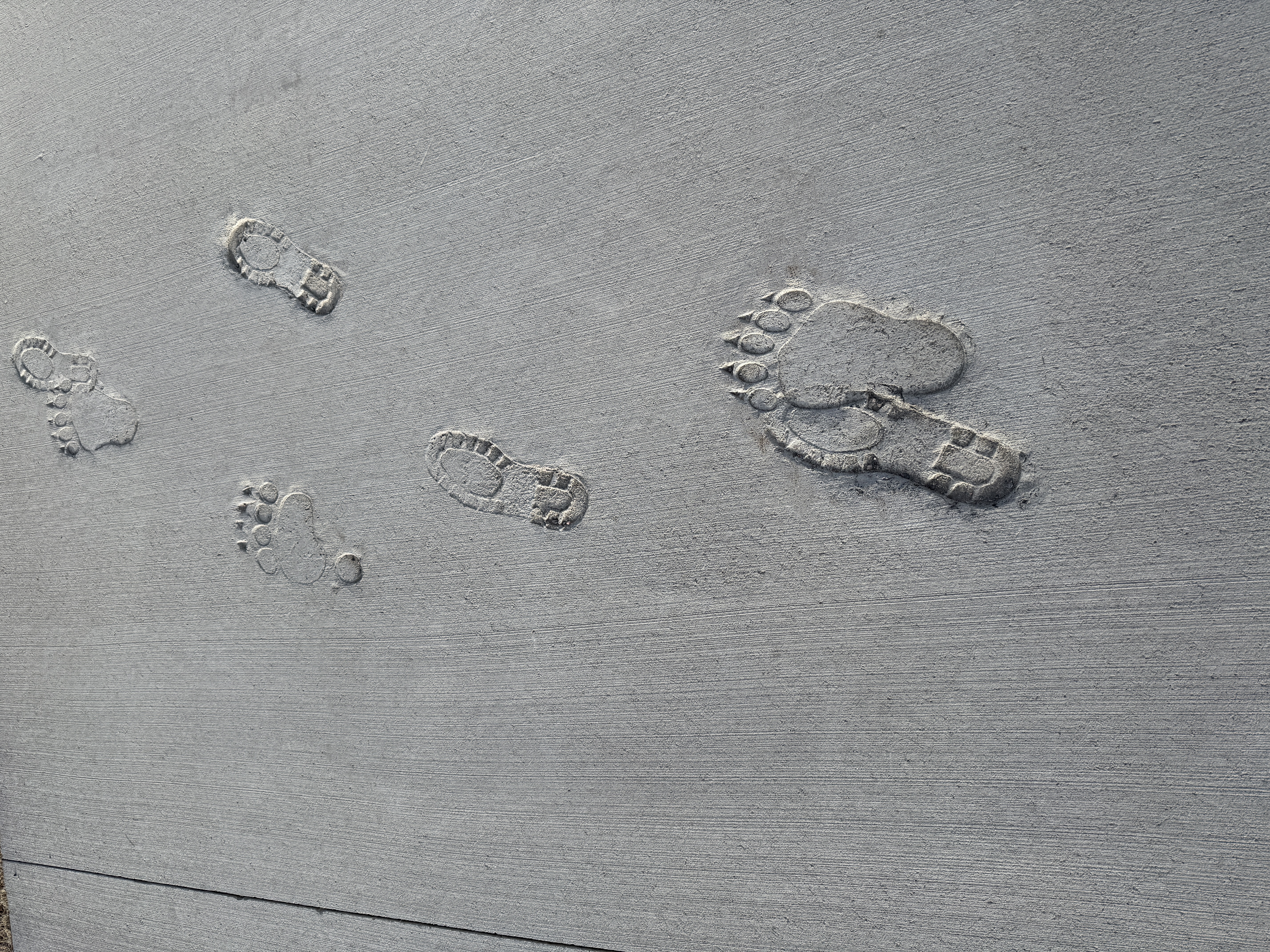 Footprints along the St. Vrain Creek path