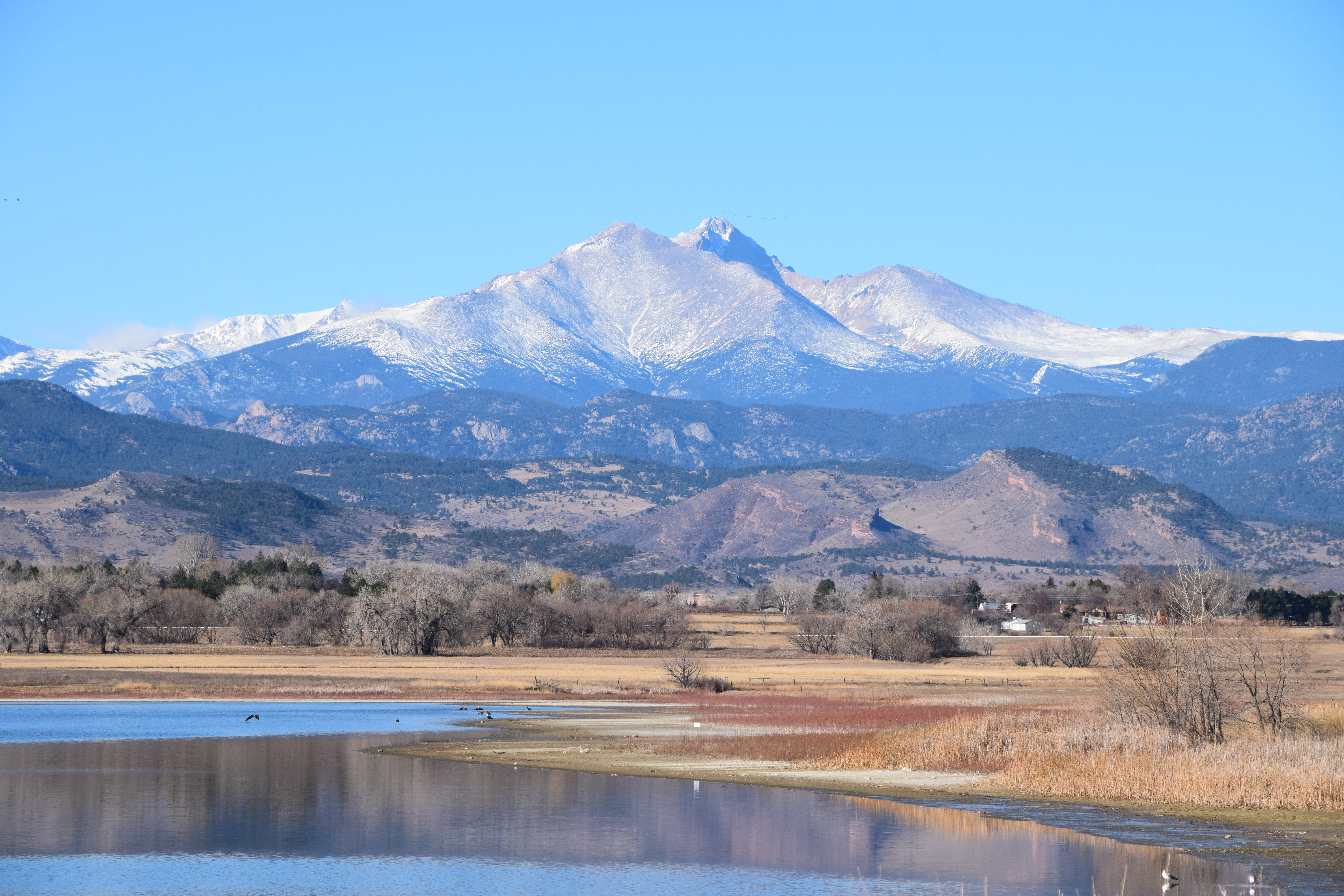 Mount Meeker and Longs Peak overlook Bald Eagles at McIntosh Lake