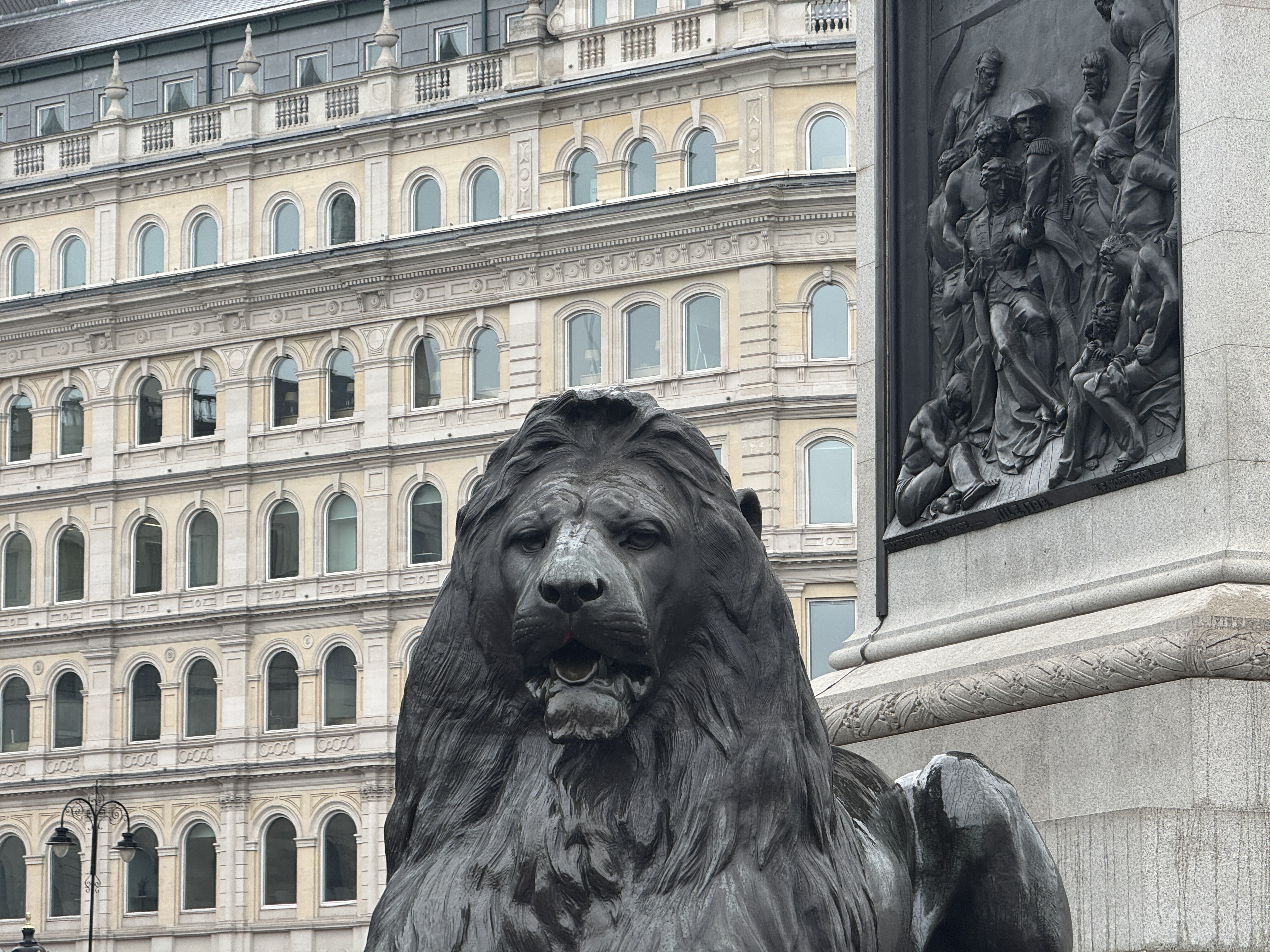 Stone lion at Trafalgar Square