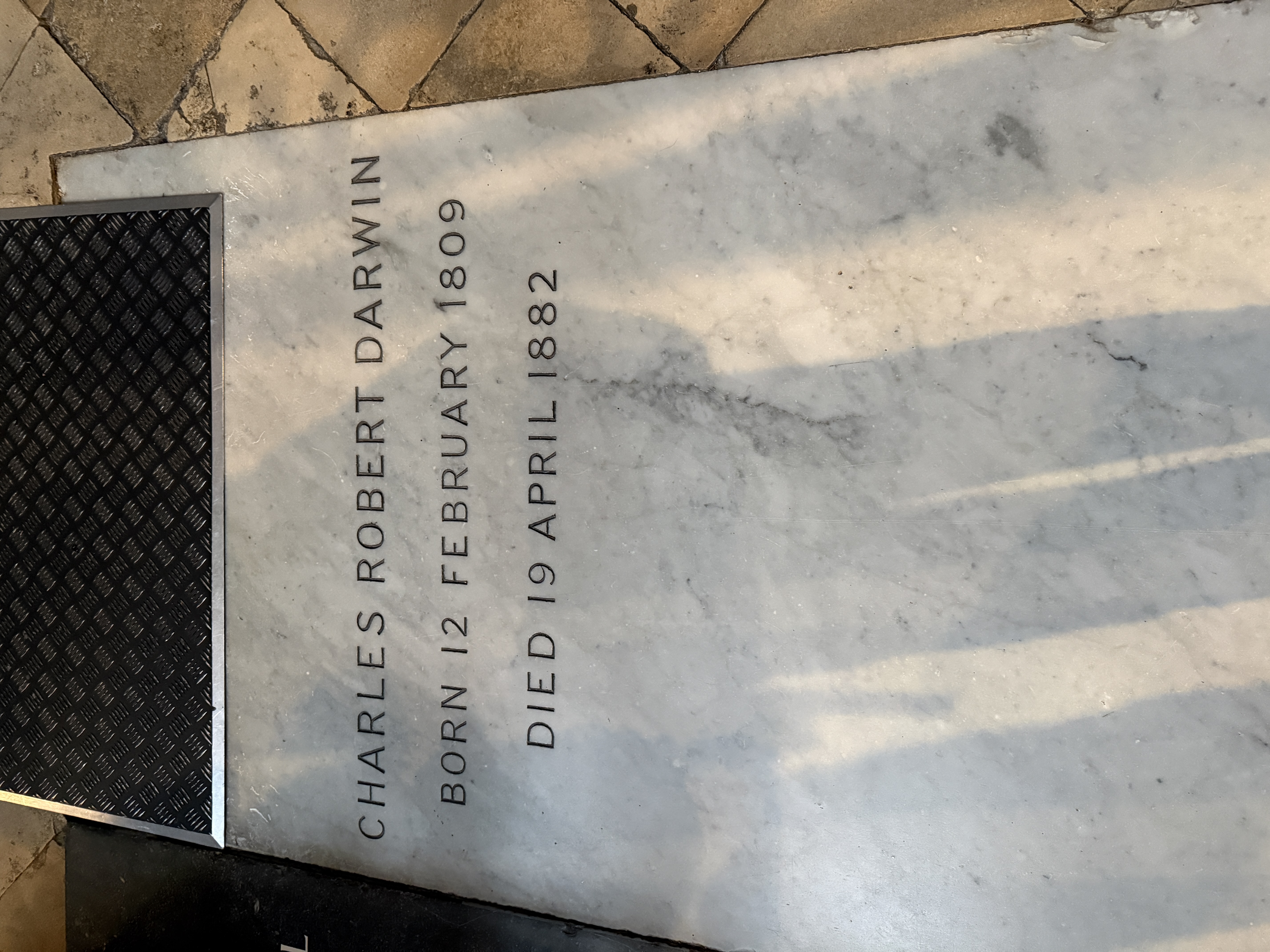 Darwin's tomb