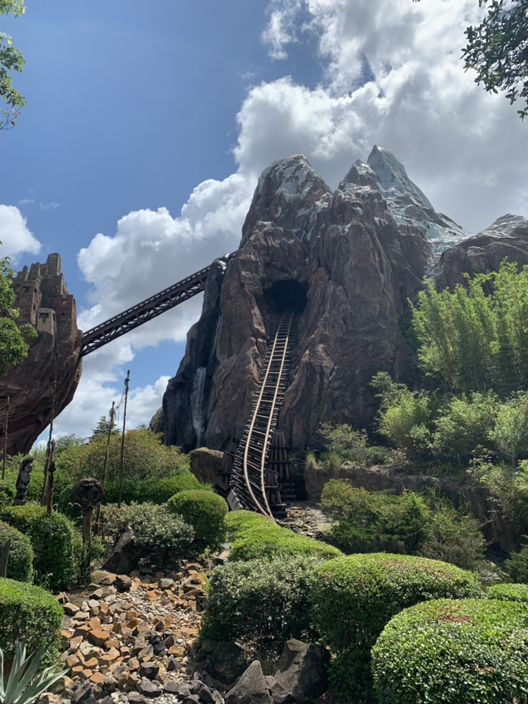 Everest Experience, Animal Kingdom