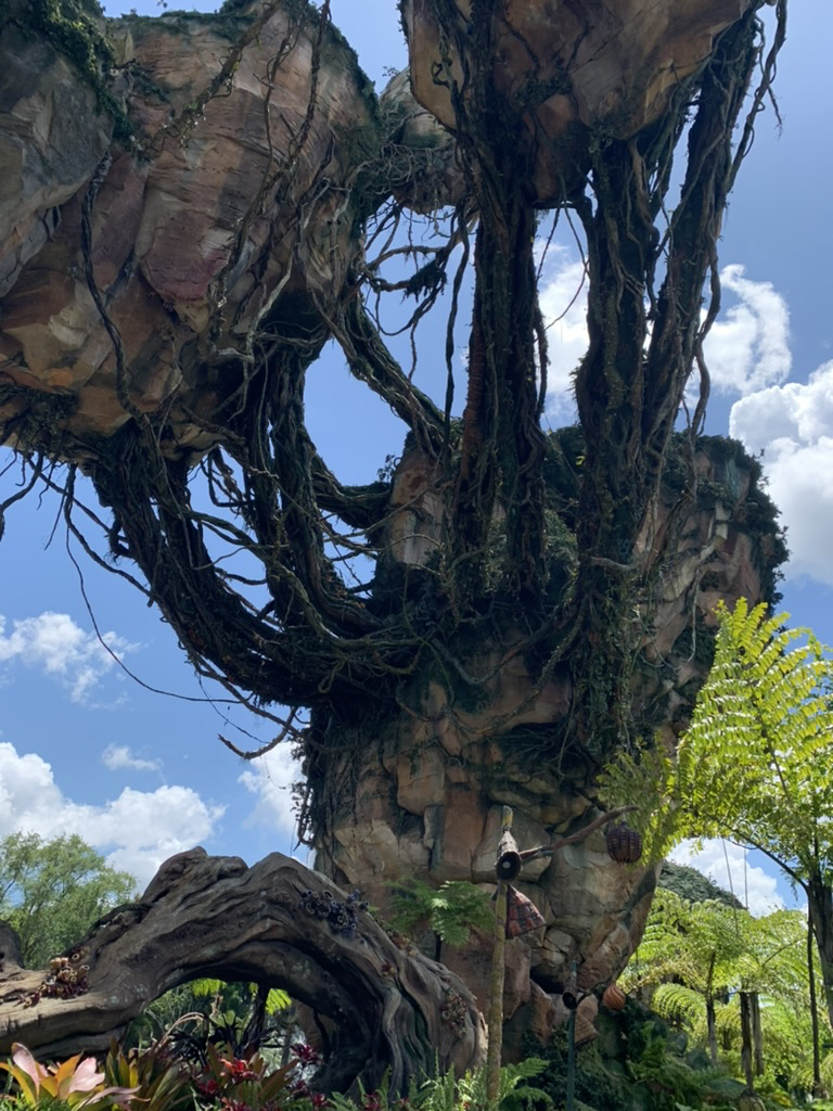 Hanging rocks of Pandora, Animal Kingdom