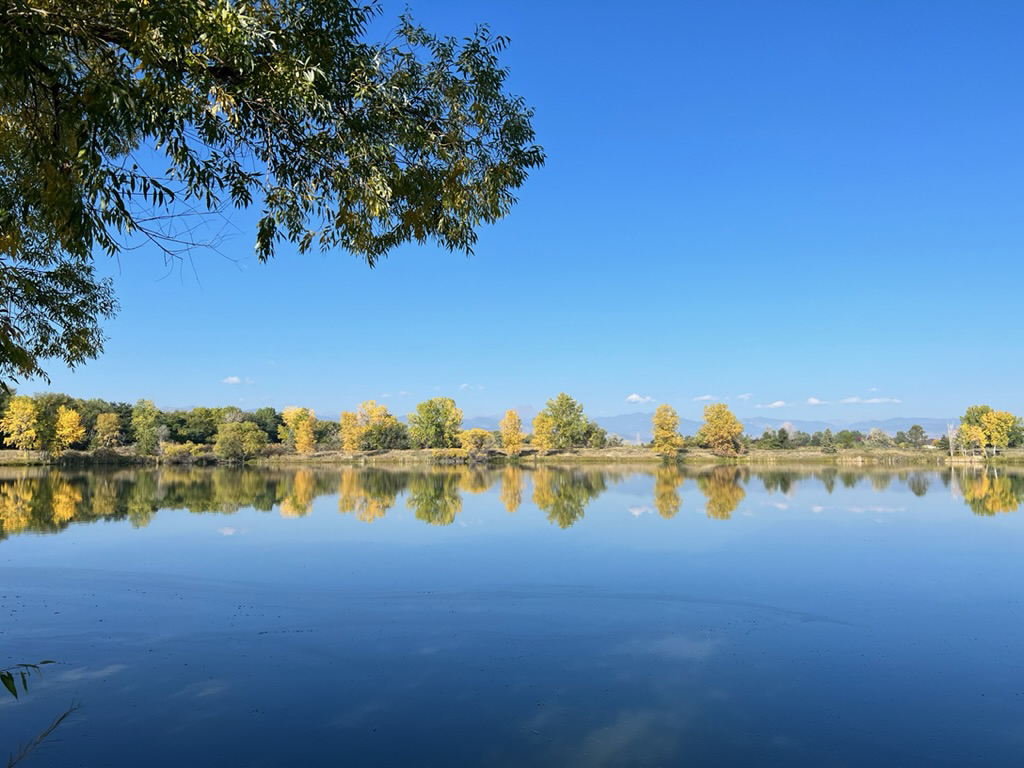 Golden Ponds reflection