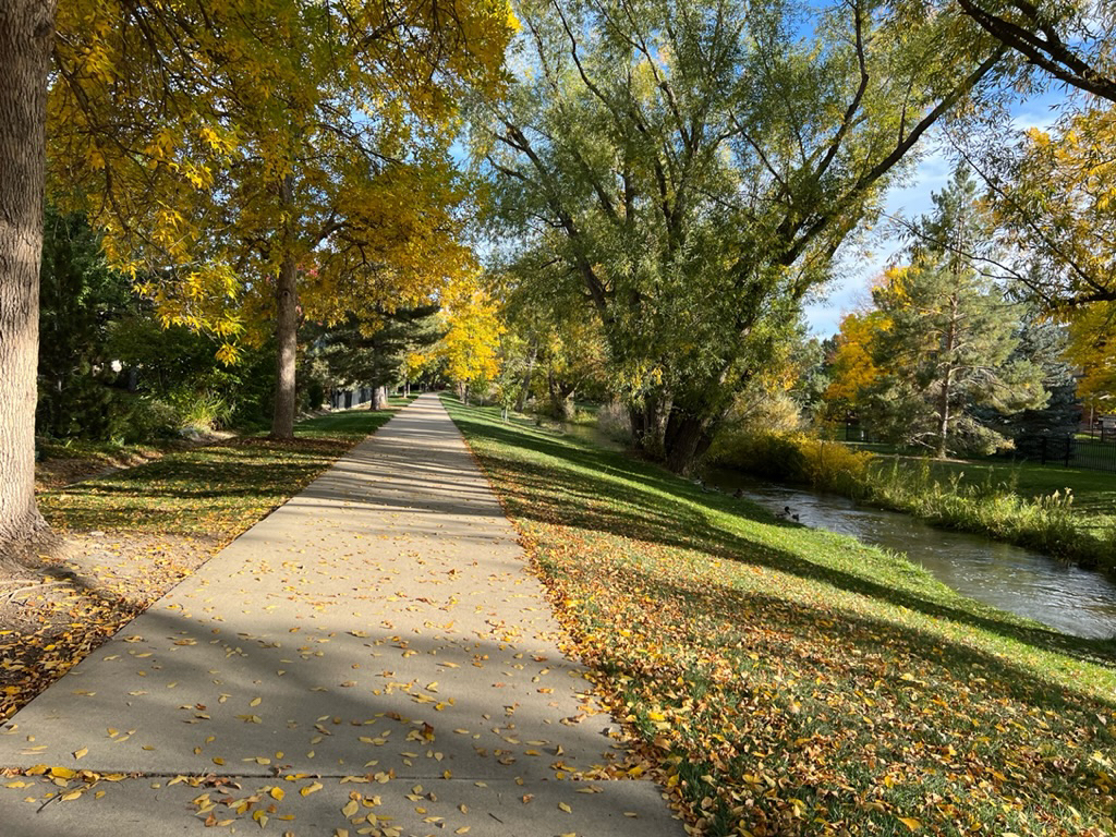 Fall on the path