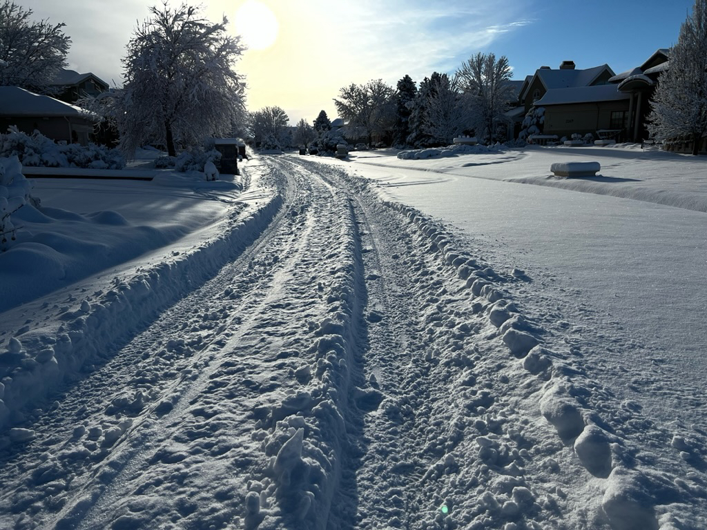 Morning tracks