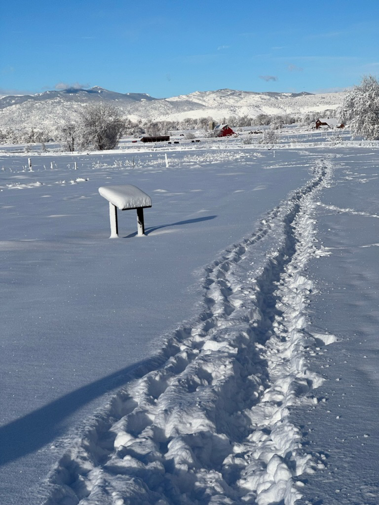 Breaking trails along McIntosh Lake