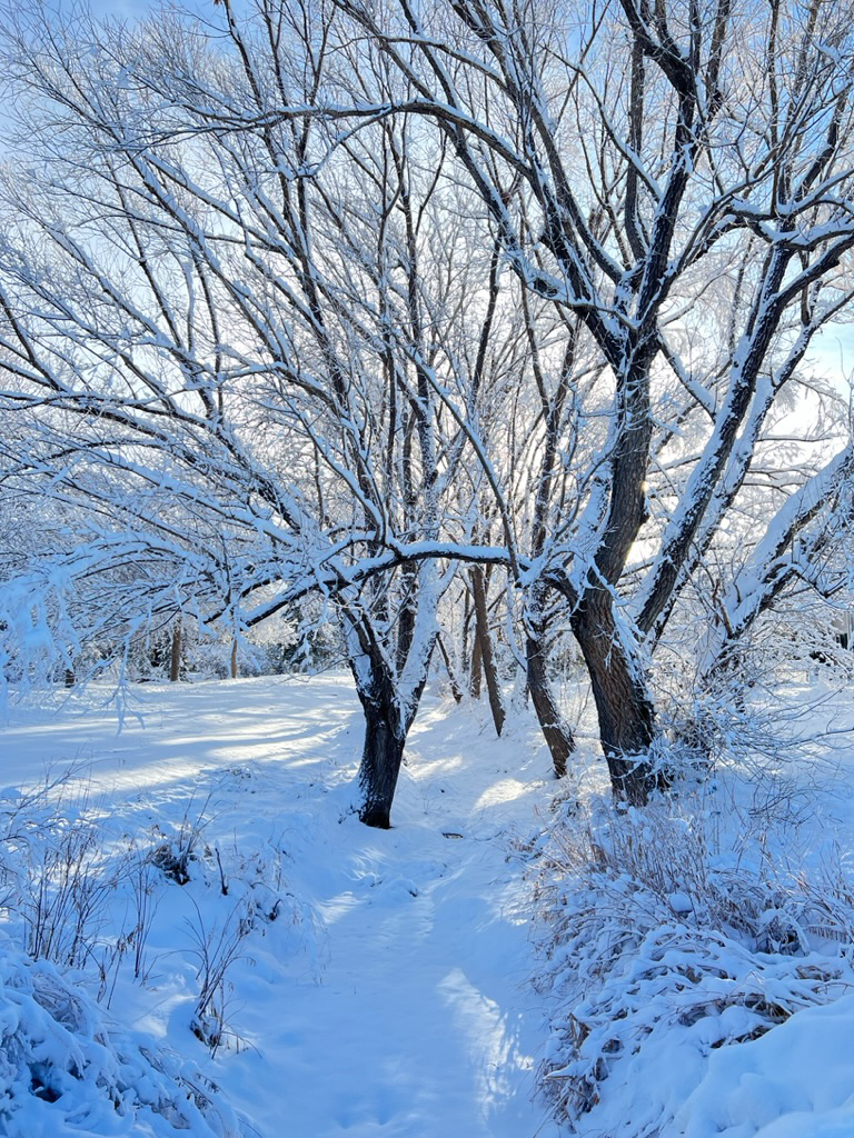 Blue shadows on Oligarchy DItch