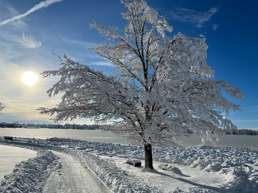 McIntosh Lake morning snow