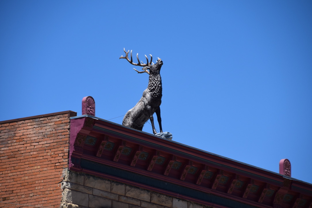 Elk statue on a Silverton roof