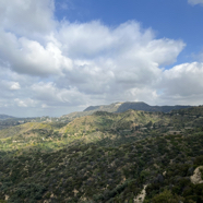 A94992BA-C984-477E-8019-FA771FDC7AD8_1_105_c.jpeg