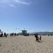 D37482D0-26C2-4F16-9C3B-D52C599934C4_1_105_c.jpeg