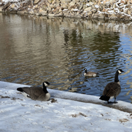 AE40F1F8-C7BB-4D97-9DE9-B652AD111555.jpeg
