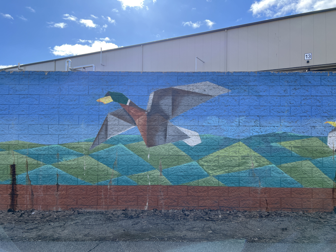 Paper Wings Mural 5