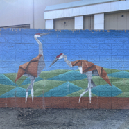 3D28F215-F775-4D8A-82C4-A54BCAE45EF0.jpeg
