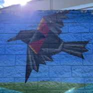 058837EA-4A5D-4B2A-B386-98D9582B4E3C.jpeg