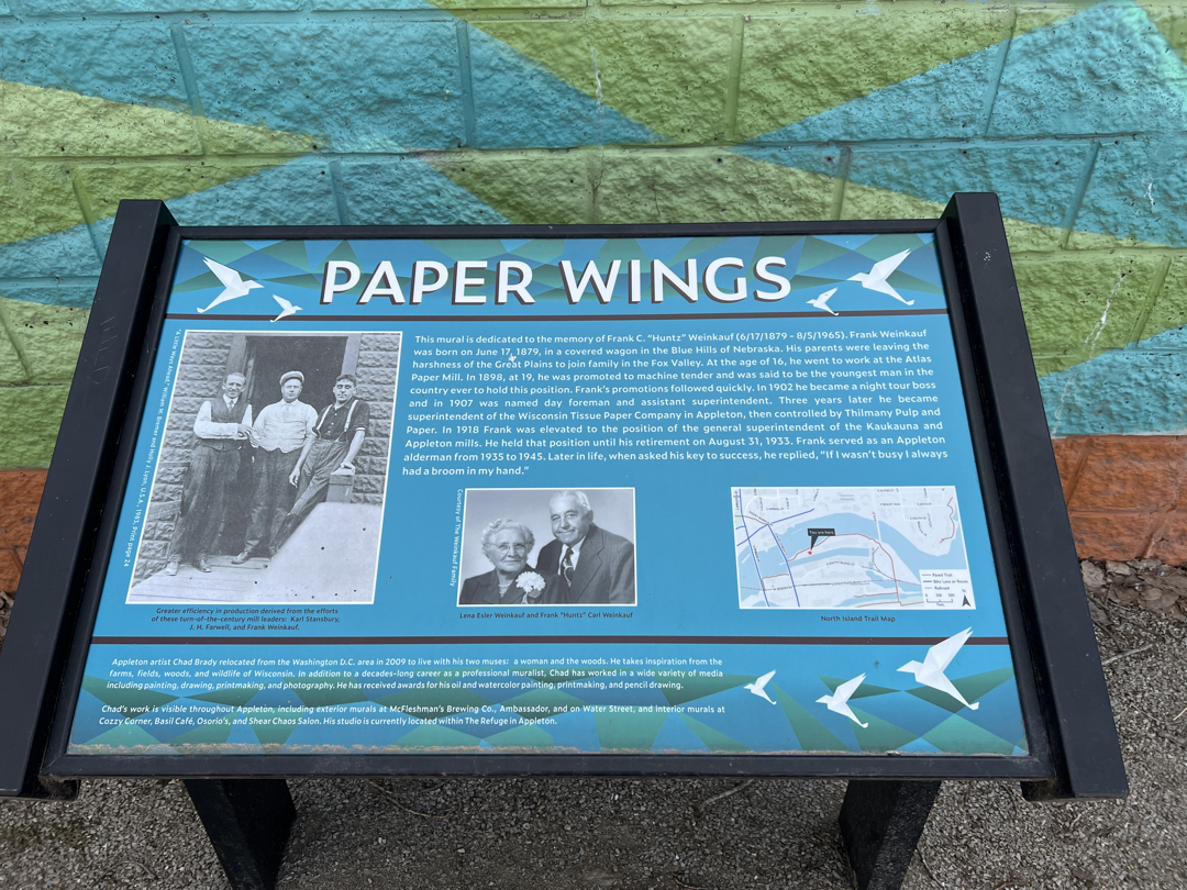 Paper Wings