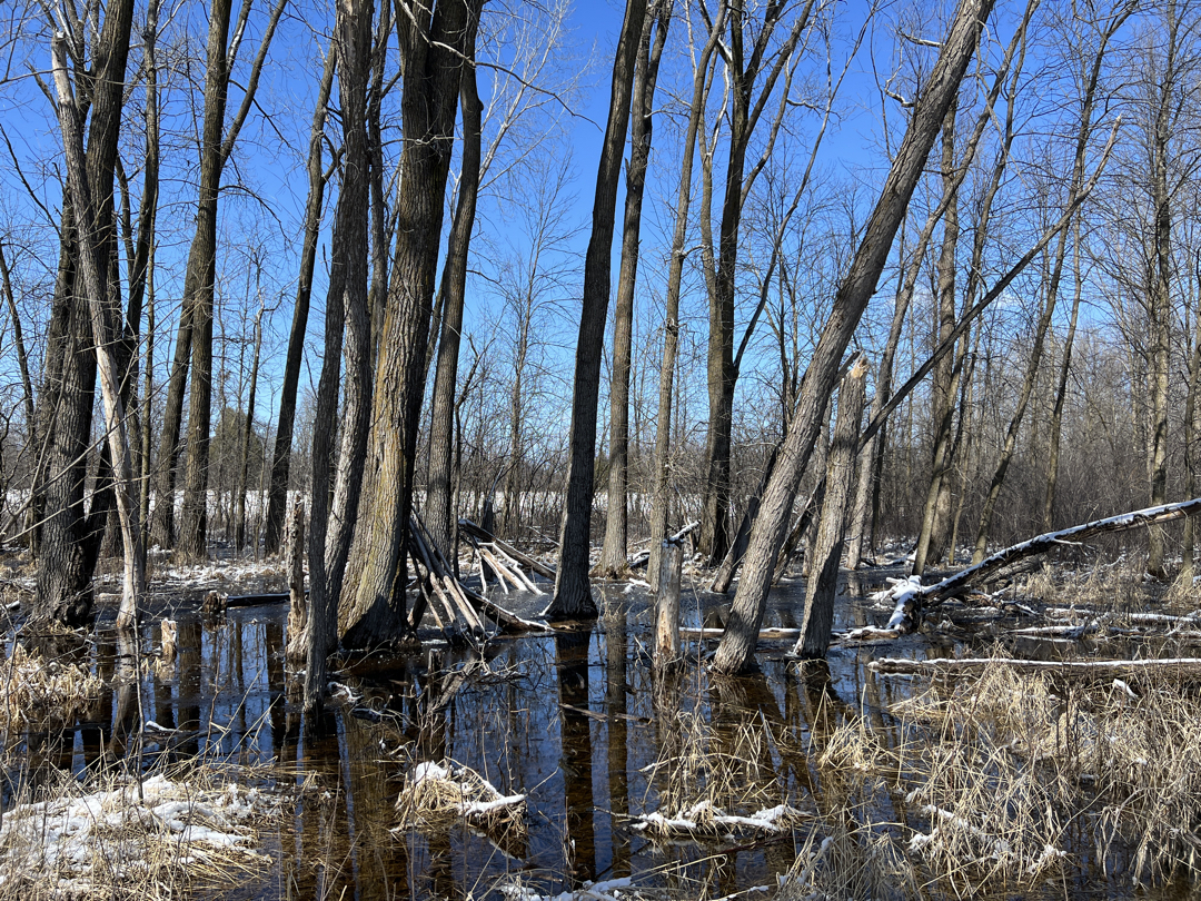 Gordon Bubolz Nature Preserve, Appleton, WI