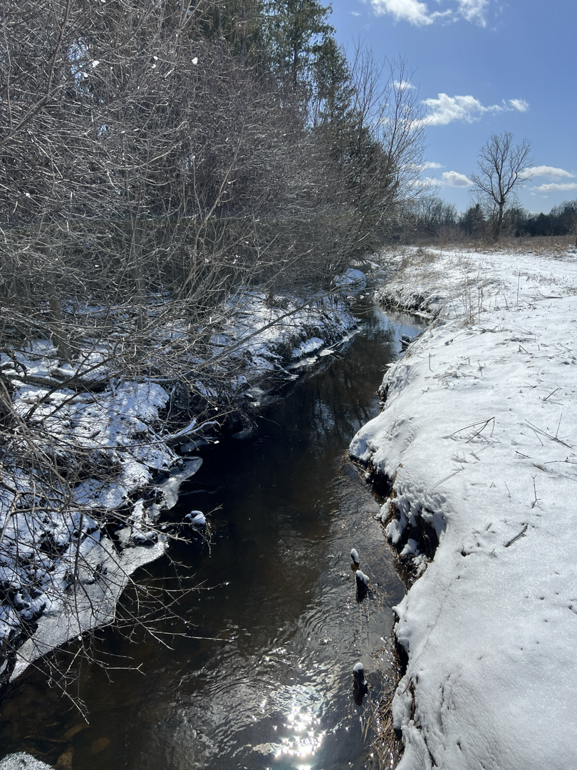 Alder Creek