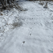 5D09A834-B109-4E3A-A020-342FE29A37C3.jpeg
