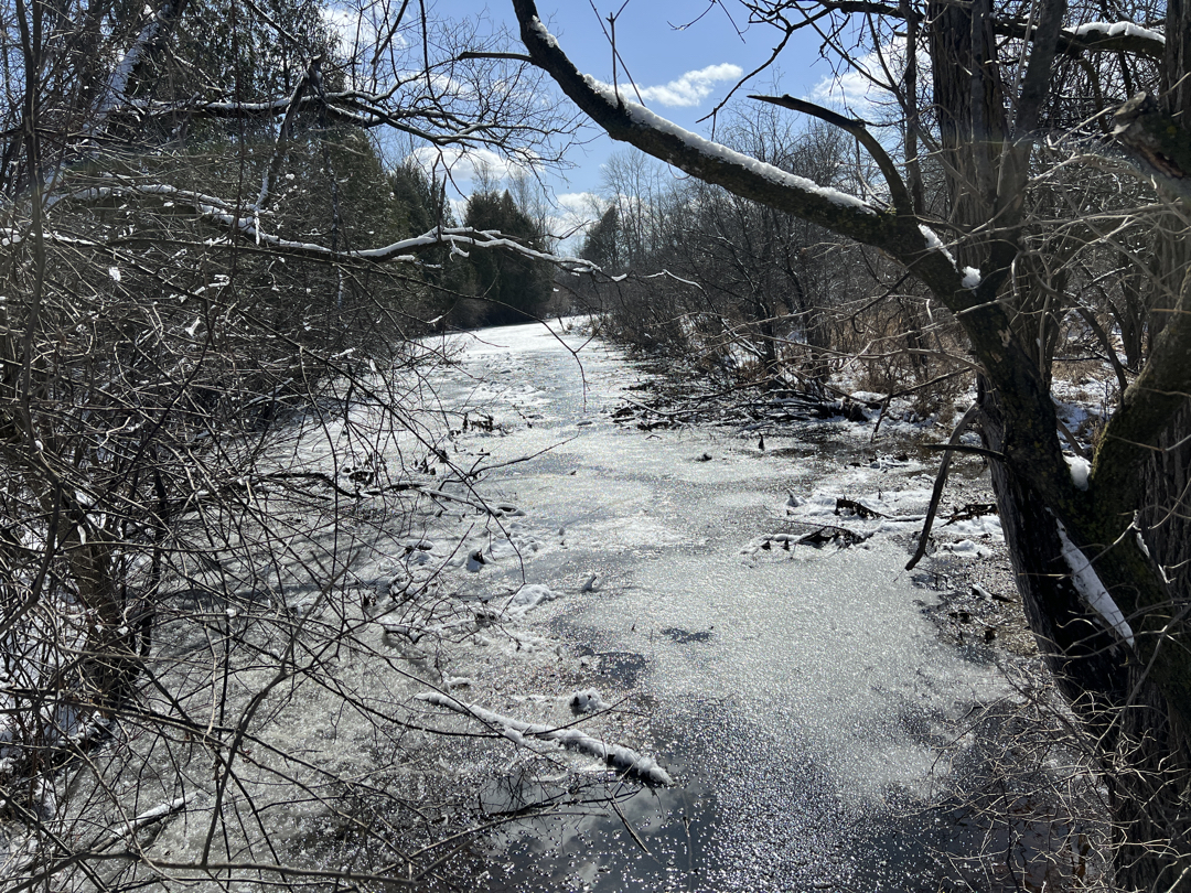 Partly frozen