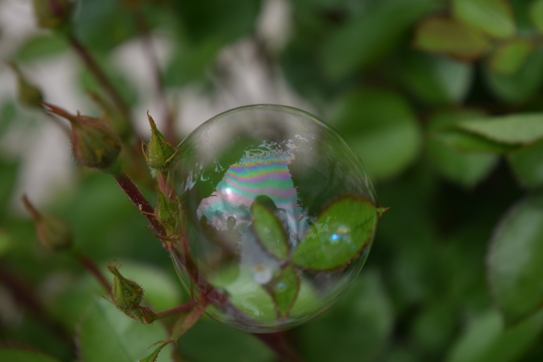 Reflected in a bubble