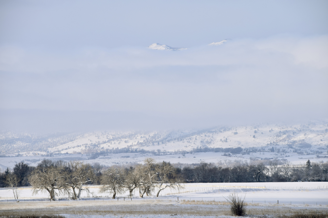 Front Range peeks through the fog