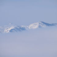 4C076D60-543A-4B36-B211-6C4A0C2822B1.jpeg