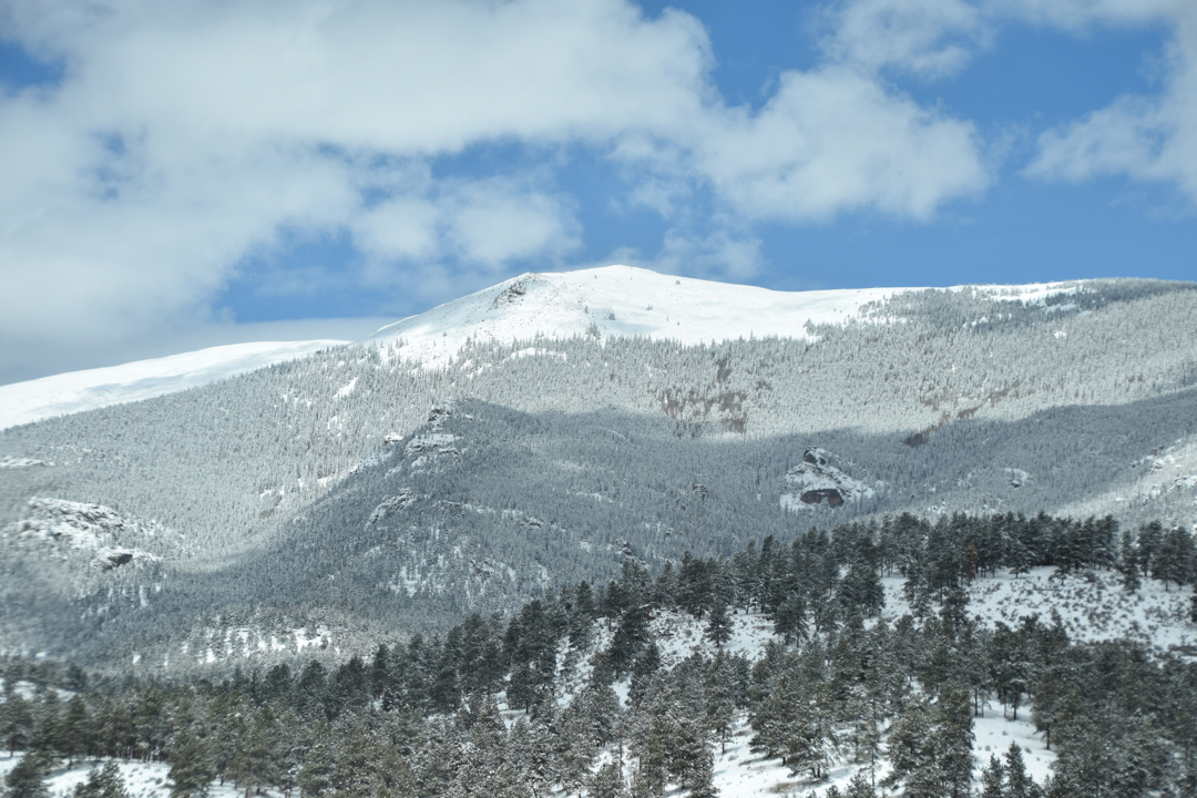 Snowy scenery in Jefferson County, CO