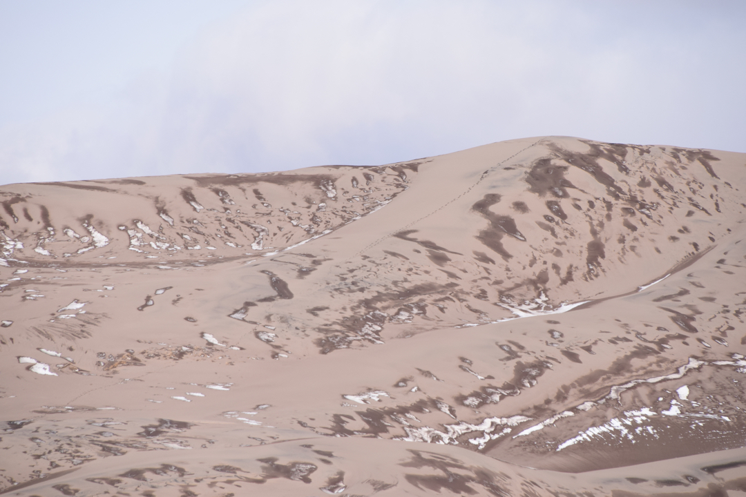 Tracks up the dunes