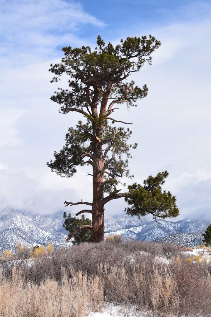 Great Sand Dunes National Park